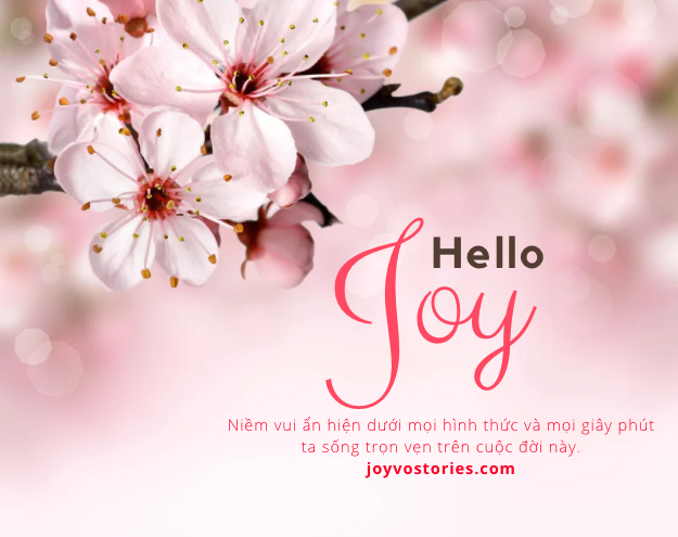 JOY – NIỀM VUI